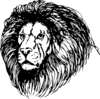 Lion With Large Mane Clip Art